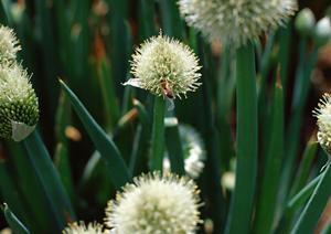 歌舞伎町の夜を彩る魅力溢れるエンターテイメントスポットを徹底解説